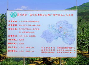 技術推廣服務中心 連接創新與市場的橋梁